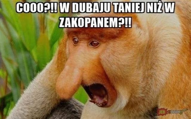 Górale kochają dutki! Oto najlepsze MEMY o zaradnych...