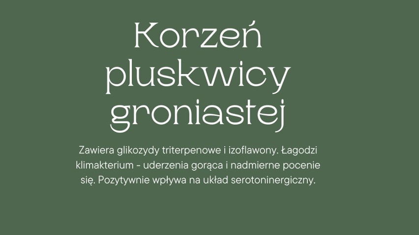 Oto najlepsze zioła na menopauzę. Te zioła skutecznie łagodzą objawy menopauzy