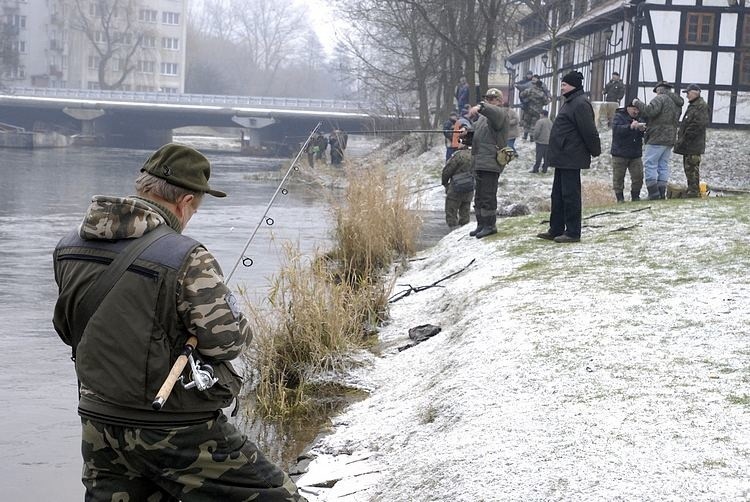 Początek sezonu na trocie i lososie w Slupsku.