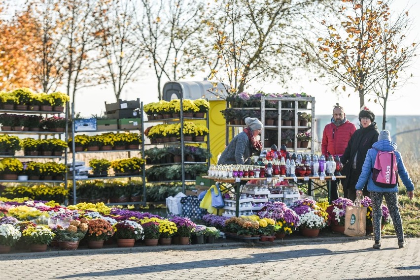 Ile kosztują kwiaty i znicze w listopadzie 2021 roku?