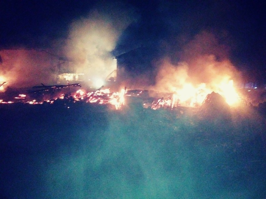 Duży pożar w Zagajach Dębiańskich. Akcja trwała 10 godzin! To była niespokojna noc dla pińczowskich strażaków [ZDJĘCIA]