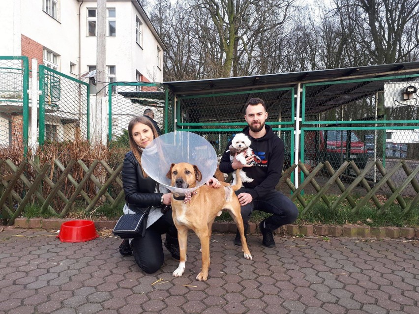 Porzucone i odtrącone... Czekają na nowy dom. Na szczęście...