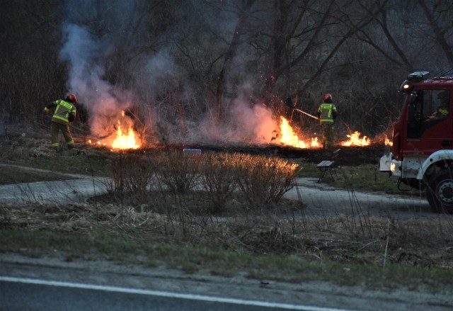Tylko dzisiaj (14 marca) strażacy wyjeżdżali czterokrotnie do płonących łąk