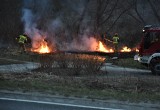Pożar na obwodnicy Gorlic. Ogień wybuchł w kilku miejscach równocześnie. Na miejscu kilka zastępów JRG
