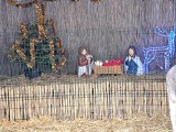 Żywa szopka przed Domem Ulgi w Cierpieniu w Ostrowcu Świętokrzyskim. Będzie ja można podziwiać od soboty. Zobacz zdjęcia