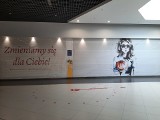 Hipermarket Carrefour Polska powstanie w Galerii Ostrowiec! Zastąpi Tesco 