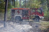 Pożar lasu w okolicy Pustyni Błędowskiej. W akcji strażacy i samolot gaśniczy