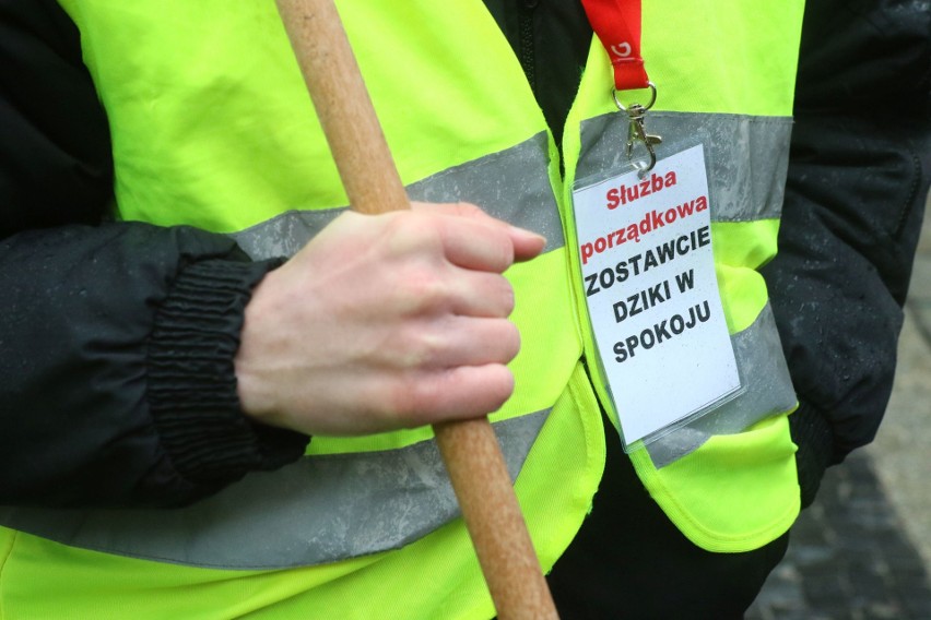 "Sto lat, niech ryją, ryją nam!" We Wrocławiu odbył się protest w obronie dzików (FILM, ZDJĘCIA)