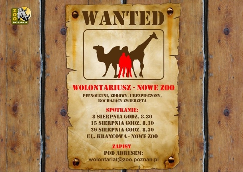 Poznań: Nowe Zoo poszukuje wolontariuszy. Chętni, którzy kochają zwierzęta, zaproszeni są na spotkania informacyjne