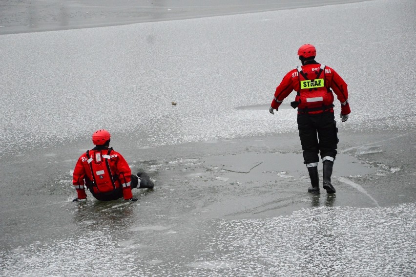 Ćwiczenia ratownicze w Kwidzynie 24.01.2019. Strażacy ćwiczyli na Balatonie ratowanie osoby, pod którą załamał się lód [zdjęcia] 