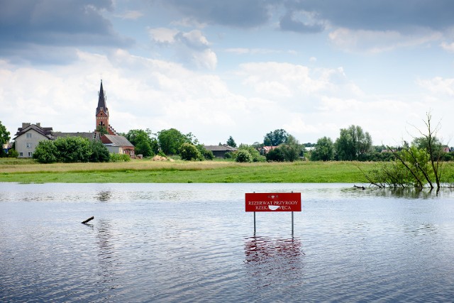 Wisła w Toruniu powoli opada. 472 cm wyniósł poziom wody w Wiśle w Toruniu w środę przed południem. Rzeka opadła po tym, jak we wtorek przekroczyła stan alarmowy. Ten dla Torunia wynosi 530 cm. Zobacz koniecznie: Toruń pod wodą! Tak wyglądała powódź  w 2010  roku [zdjęcia z drona]- Sytuacja jest stabilna, prognozuje się kilkucentymetrowe wahania, ale tendencja jest spadkowa - poziom wody będzie raczej spadał – informuje Adrian Aleksandrowicz z Urzędu Miasta Torunia.