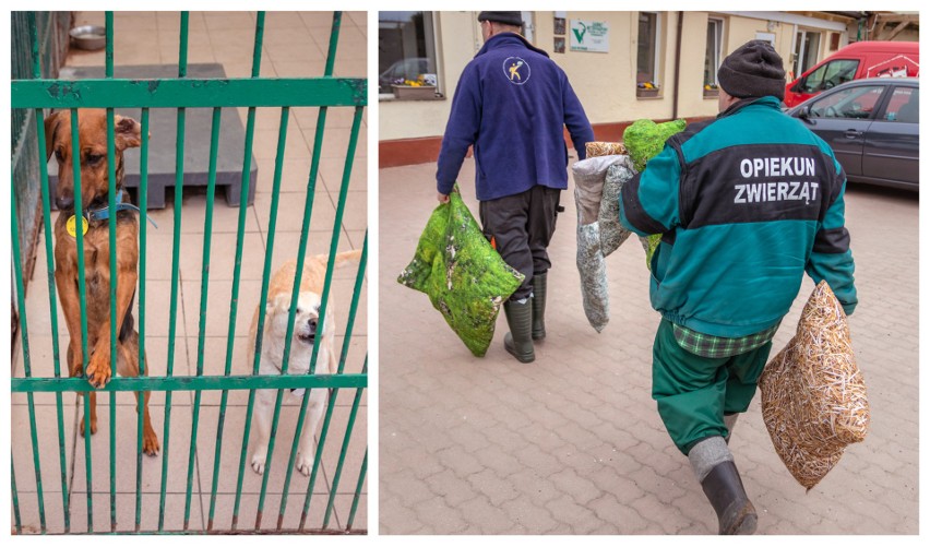 Bezdomne zwierzaki dostały nowe legowiska. To prezent od szczecińskiej marki i... więźniów [ZDJĘCIA]