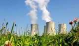Projekt elektrowni jądrowej na Pomorzu został zawieszony? 