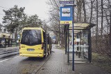 Katowice. Ruszyła nowa linia minibusów 989. Połączyła trzy dzielnice - Zarzecze, Kostuchnę i Podlesie