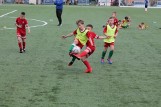 Brzezińska szkółka piłkarska wznawia nabór i treningi. Można zapisywać dzieci