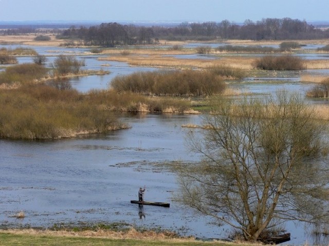 Biebrza w Burzynie