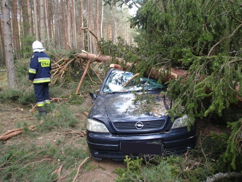Wypadki, pożary, połamane drzewa. Interwencje augustowskich strażaków 18.04-24.04 (zdjęcia)