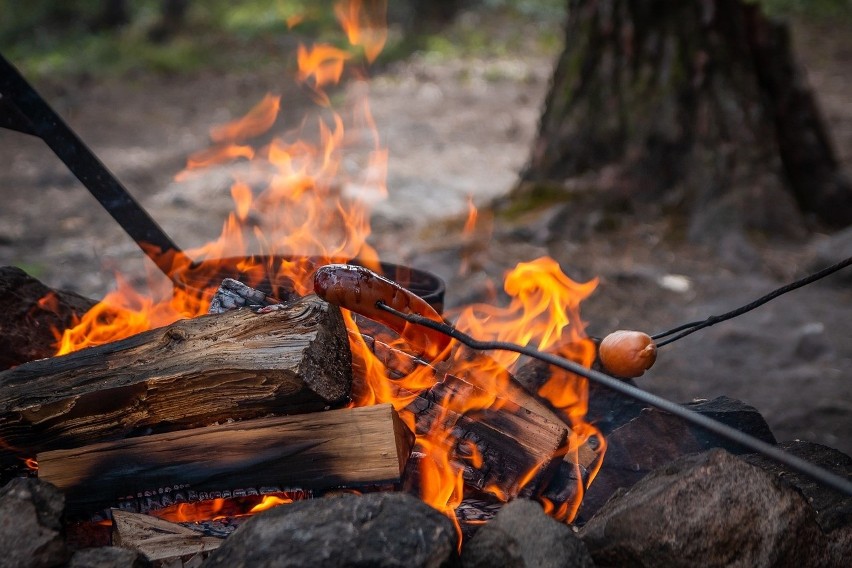 Jakie drewno będzie najlepsze do ogniska? Liściaste czy iglaste? Od wyboru zależy posmak kiełbasek