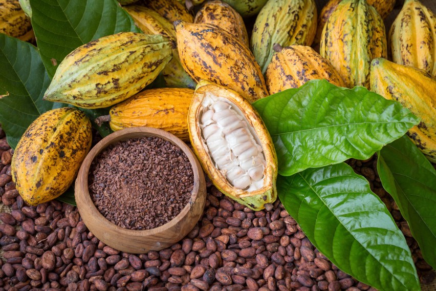 Kakao jest jednym z najlepszych roślinnych źródeł cynku....