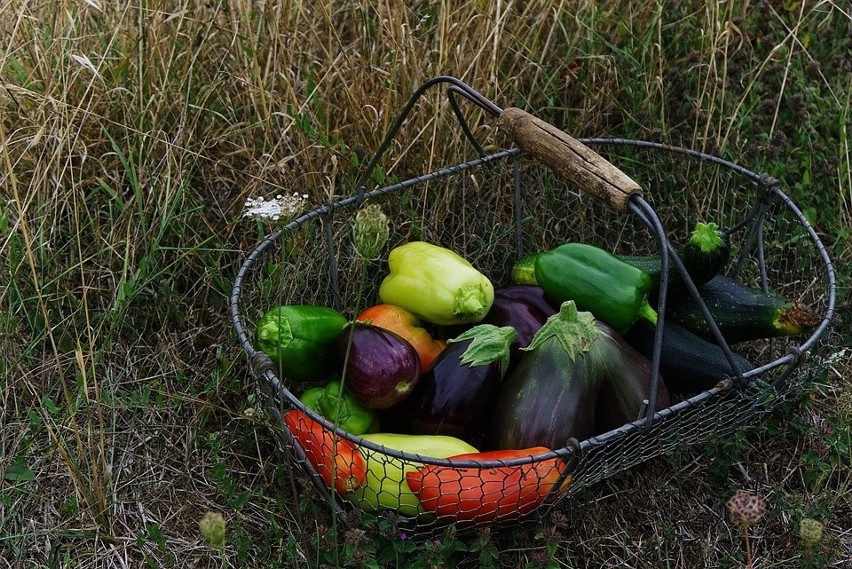 Jesienne warzywa i owoce. Oto ich ceny w Kujawsko-Pomorskiem [początek września 2021]