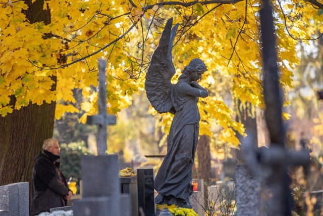 Jak znaleźć groby znanych osób na cmentarzach w Krakowie? Podpowiadamy na kolejnych slajdach