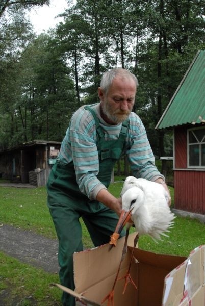 Jacek Mackiewicz przyjmuje ptasiego pacjenta w ZOO