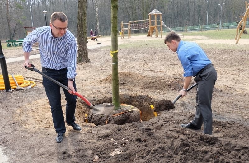 Park Konstytucji 3 Maja odbudowuje się. Nowe drzewa, ławki, latarnie, alejki (zdjęcia, wideo)