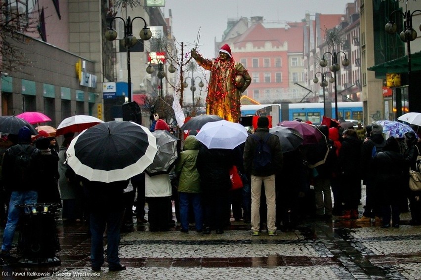 "Złoty Donek" już we Wrocławiu. Stanął przy ul. Świdnickiej (FILM, ZDJĘCIA)