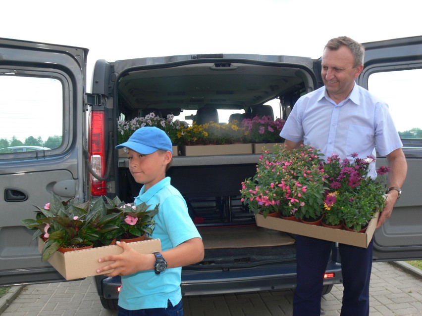 Kwiatowy prezent przyjechał do Domów dla Dzieci i Młodzieży w Łoniowie. Otoczenie czterech domków będzie tonęło w kwiatach [ZDJĘCIA] 
