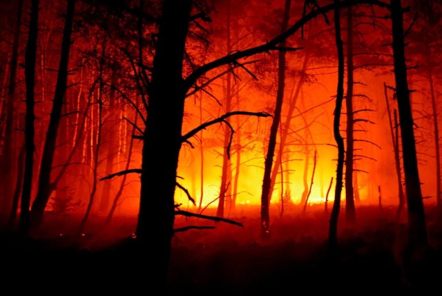 Od kilku tygodni na terenie powiatu obornickiego dochodziło do pożarów. Płonęły lasy w okolicach obornickich Żwirek, czy też tereny tuż przy schetynówce w Słonawach.
