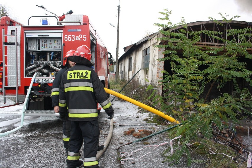 W hali prócz ubrań składowano pakiety wojskowe OP - 1