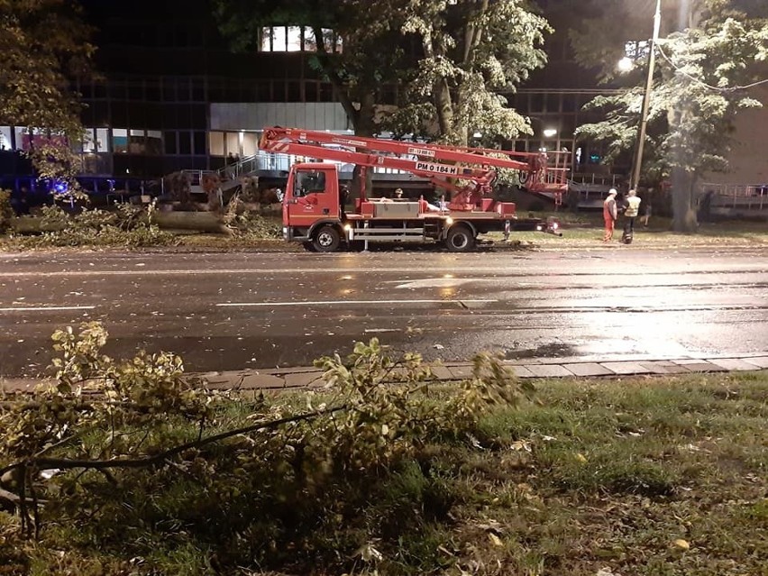 Silny wiatr w Lublinie i regionie. Strażacy interweniowali 412 razy