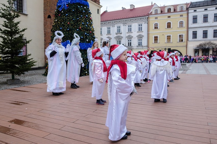 Tarnowskie przedszkolaki przystroiły choinki pod Ratuszem [ZDJĘCIA]