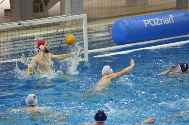 Piłkarze wodni DSW Waterpolo Poznań wygrali na Termach z mistrzem Polski. To duża niespodzianka