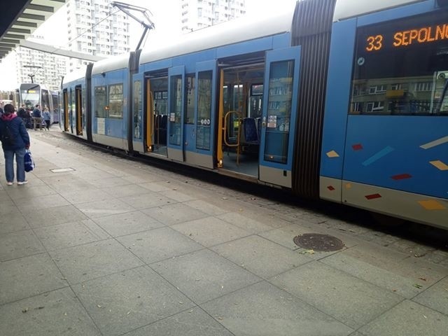 Paraliż komunikacyjny we Wrocławiu. Wykolejenie tramwaju i drzewa na torowiskach