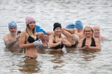 Prawdziwych przyjaciół poznaje się w zimnej wodzie. Morsy z Bydgoszczy opowiadają o fenomenie morsowania