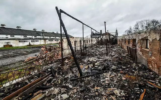 Spalony cielętnik w  Kusowie. Ogień trawił budynek dwa razy. Znajdowało się w nim blisko 200 krów mlecznych. Udało się je wyprowadzić z pożaru.