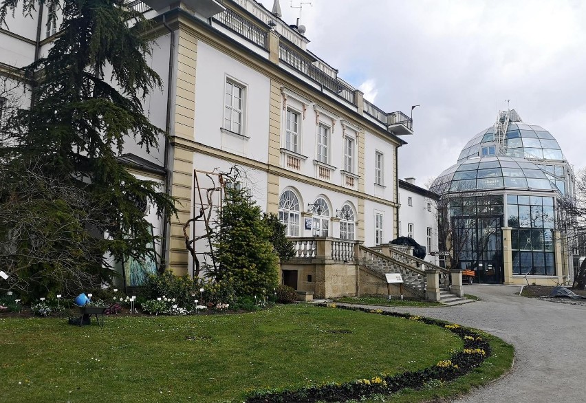 Kraków. Ogród Botaniczny rozkwita na wiosnę. Jest coraz piękniej [ZDJĘCIA]