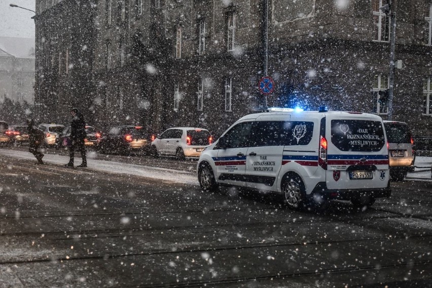 Śnieżyca w Poznaniu. Zasypało całe miasto