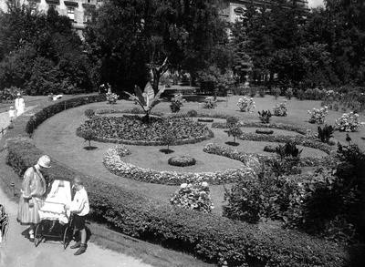 Planty w Krakowie. Zdjęcia pochodzą z zasobów Narodowego...