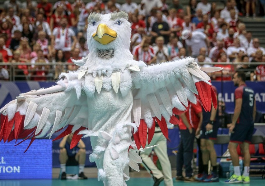 Liga Narodów. Bilety na mecze polskich siatkarzy. Wyniki w Tauron Arenie Kraków i Atlas Arenie Łódź [aktualizacja 3.03]