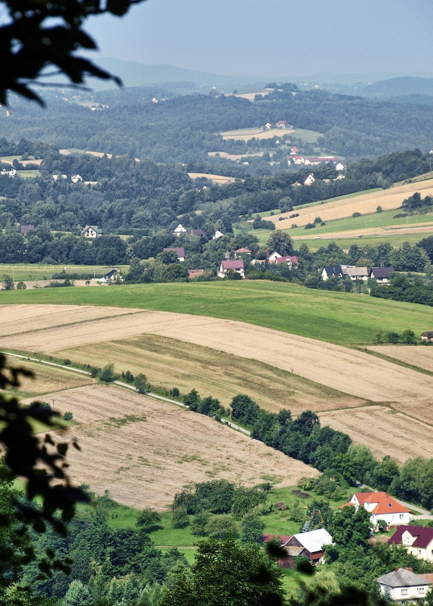 Odkryj Beskid Wyspowy. W sobotni wieczór wspięli się na Ćwilin, a w niedzielny poranek pokonali Łopusze Wschodnie