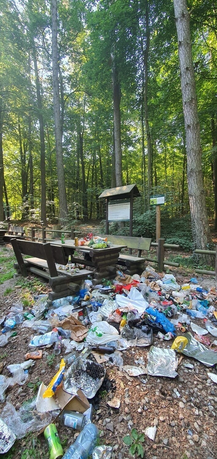 Zaśmiecone jezioro w Otominie. Odwiedzający zostawiają mnóstwo odpadów. Czy tak można wypocząć? | ZDJĘCIA