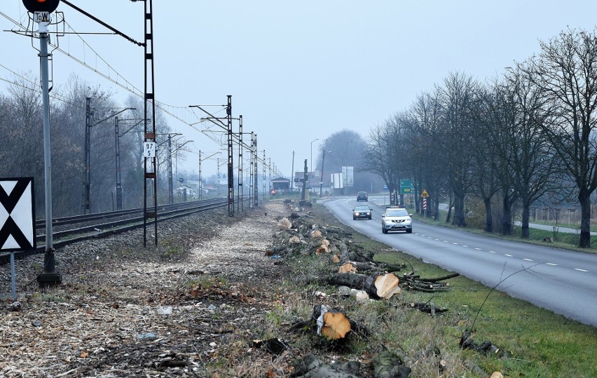 Wycinka drzew wzdłuż linii kolejowej biegnącej przy ul....