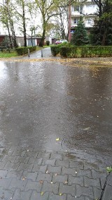 Orkan Grzegorz w Zabrzu: szkody są znaczne. Powalone drzewa, uszkodzone budynki, zalane ulice