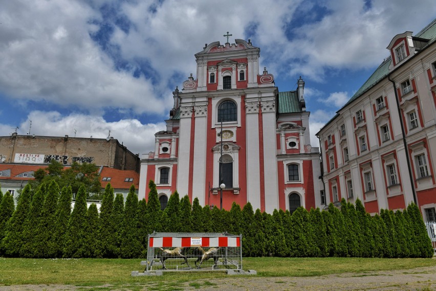 Tak brykały, tak się trykały, że się doigrały! Poznańskie...