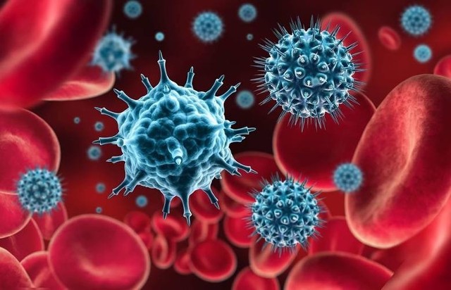 Według danych podanych przez Ministerstwo Zdrowia w poniedziałek, 30 listopada na godzinę 10, w powiecie sandomierskim przez ostatnią dobę odnotowano 10 nowych przypadków zakażenia koronawirusem. Nie zanotowano zgonów.