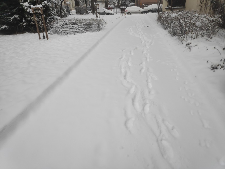 Na wielu chodnikach też zalega spora warstwa śniegu