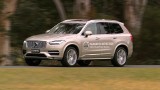 Volvo testuje system zapobiegający kolizjom z kangurami