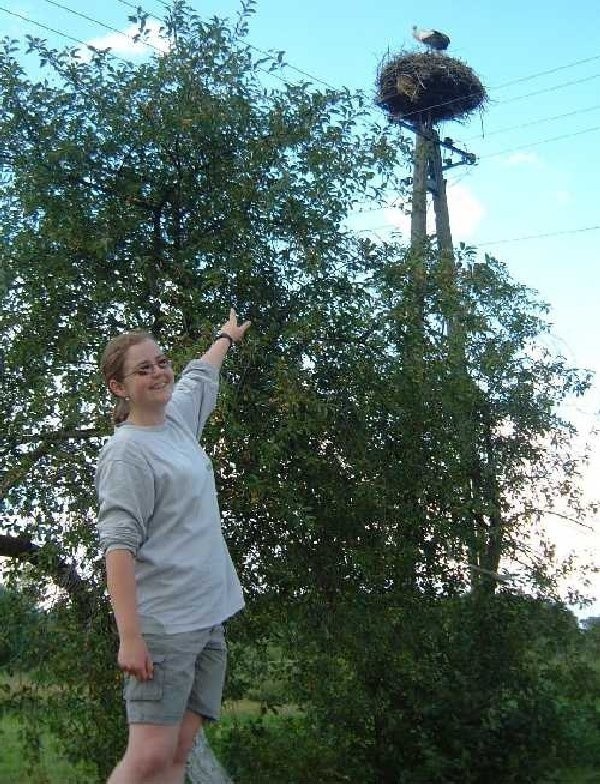 Iza Ziółkowska pokazuje jedno z bocianich  gniazd. Tu w częstym miejscu - na słupie  energetycznym.